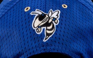 A Hornet Embroidered on a Blue Color Cap