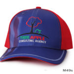 A Tree Apple Consulting Agency Embroidery Logo Cap