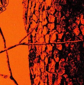 A black and orange image of a tree trunk.