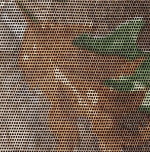 A close up of a green leaf on a metal mesh.