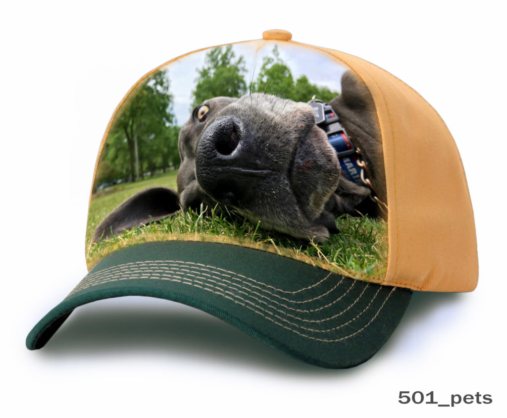 A Buffalo Image Printed on a Cap Copy