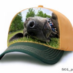 A Buffalo Image Printed on a Cap Copy